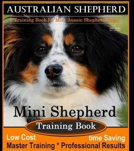 Miniature Australian Shepherd Training Book for Mini Aussie Shepherd Dogs By D!G THIS DOG Training: Mini Shepherd Training Book, Low Cost - Time Savin