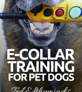 E-COLLAR TRAINING for Pet Dogs: The only resource you'll need to train your dog with the aid of an electric training collar
