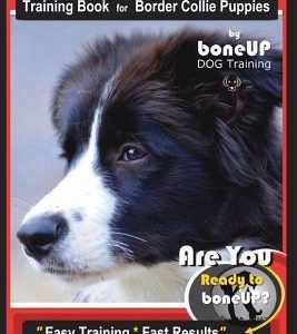 Border Collie Puppy Training Book for Border Collie Puppies by Boneup Dog Training: Are You Ready to Bone Up? Easy Training * Fast Results Border Coll