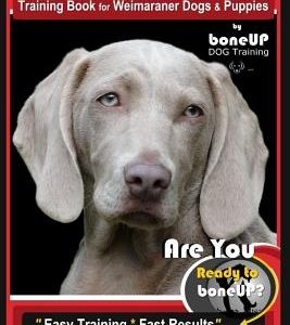 Weimaraner Training Book for Weimaraner Dogs & Puppies by Boneup Dog Training: Are You Ready to Right Way Bone Up? Easy Training * Fast Results Weimar