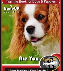 Cavalier King Charles Spaniel Training Book for Dogs & Puppies by Boneup Dog Training: Are You Ready to Bone Up? Easy Training * Fast Results Cavalier
