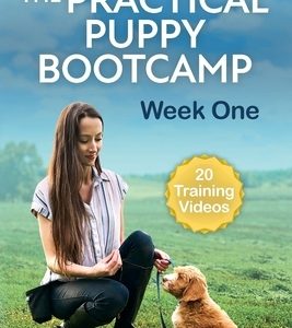 The Practical Puppy Bootcamp: Week One