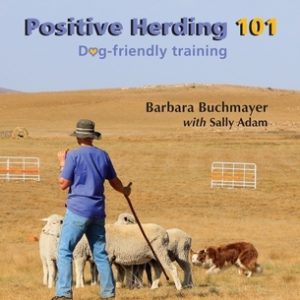 Positive Herding 101: Dog-friendly training