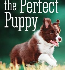 The Perfect Puppy