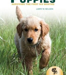 Your Comprehensive Training Guide to PUPPIES: Surviving the First Six Months