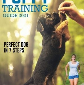Puppy Training Guide 2021: Perfect Dog in 7 Steps!