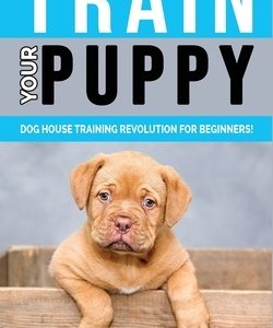 Train Your Puppy: Dog House Training Revolution for Beginners! Behavior Dog Training Steps to Raise a Perfect Puppy House - Positive Rei