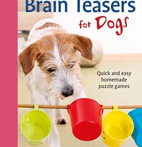 Brain Teasers for Dogs: Quick and Easy Homemade Puzzle Games