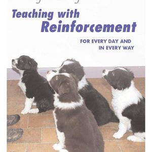 Teaching with Reinforcement: For Every Day and in Every Way