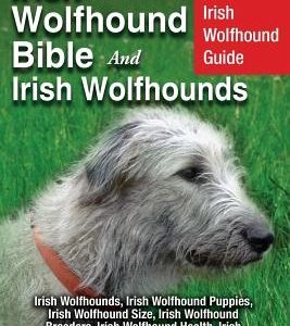 Irish Wolfhound Bible And Irish Wolfhounds: Your Perfect Irish Wolfhound Guide Irish Wolfhounds, Irish Wolfhound Puppies, Irish Wolfhound Size, Irish
