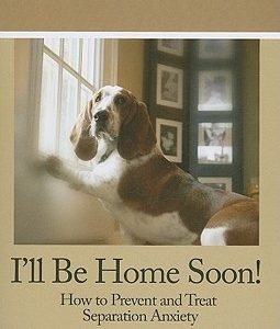 I'll Be Home Soon: How to Prevent and Treat Separation Anxiety