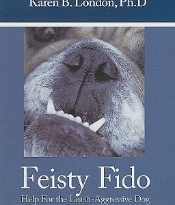 Feisty Fido: Help for the Leash Aggressive Dog