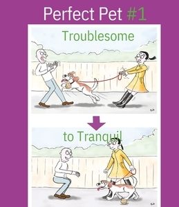 Problem Pooch to Perfect Pet Book 1: Troublesome to Tranquil