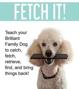 Fetch It!: Teach your Brilliant Family Dog to catch, fetch, retrieve, find, and bring things back!