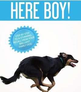 Here Boy!: Step-by-Step to a Stunning Recall from your Brilliant Family Dog