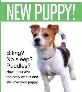 New Puppy!: From New Puppy to Brilliant Family Dog