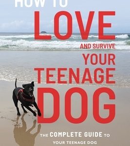 How to Love and Survive Your Teenage Dog