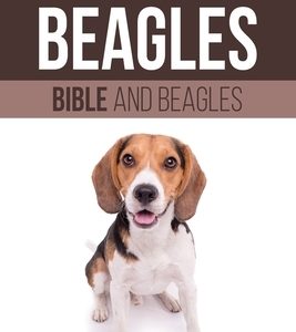 Beagle Bible And Beagles: Your Perfect Beagle Guide Beagle, Beagles, Beagle Puppies, Beagle Dogs, Beagle Breeders, Beagle Care, Beagle Training,