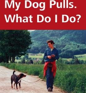My Dog Pulls. What Do I Do?