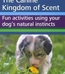 The Canine Kingdom of Scent: Fun Activities Using Your Dog's Natural Instincts