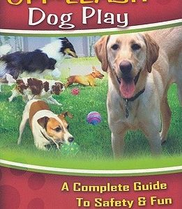 Off-Leash Dog Play: A Complete Guide to Safety and Fun