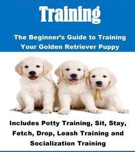 Golden Retriever Training: The Beginner's Guide to Training Your Golden Retriever Puppy: Includes Potty Training, Sit, Stay, Fetch, Drop, Leash T