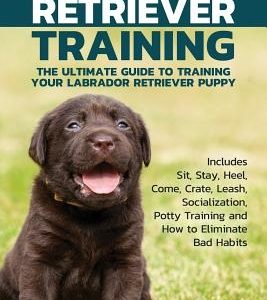 Labrador Retriever Training: The Ultimate Guide to Training Your Labrador Retriever Puppy: Includes Sit, Stay, Heel, Come, Crate, Leash, Socializat