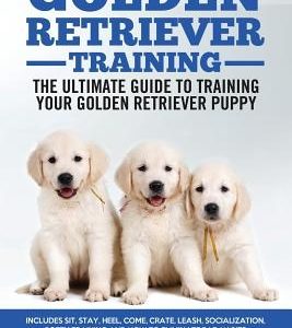 Golden Retriever Training - the Ultimate Guide to Training Your Golden Retriever Puppy: Includes Sit, Stay, Heel, Come, Crate, Leash, Socialization, P