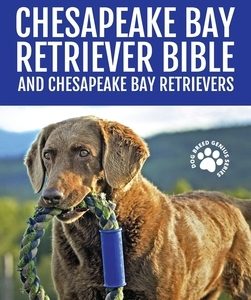 Chesapeake Bay Retriever Bible and Chesapeake Bay Retrievers: Your Perfect Chesapeake Bay Retriever Guide Chesapeake Bay Retrievers, Chesapeake Bay Re