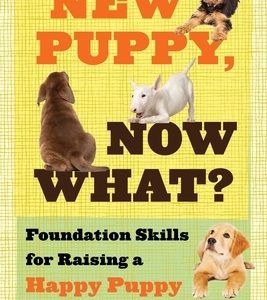 New Puppy, Now What? Foundation Skills for Raising a Happy Puppy