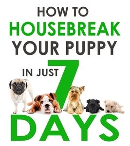 How To Housebreak Your Puppy in Just 7 Days!