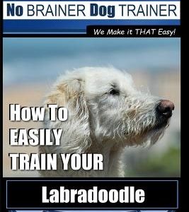 Labradoodle Training: Dog Training With the No BRAINER Dog TRAINER "We Make it That Easy" How to EASILY Train Your Labradoodle