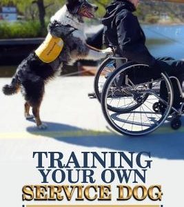 Training Your Own Service Dog: Step By Step Guide To An Obedient Service Dog
