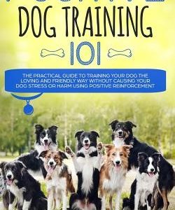 Positive Dog Training 101: The Practical Guide to Training Your Dog the Loving and Friendly Way Without Causing your Dog Stress or Harm Using Pos