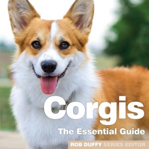 Corgis: The Essential Guide