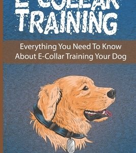 E-Collar Training: Everything You Need To Know About E-Collar Training Your Dog