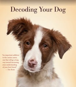 Decoding Your Dog: Explaining Common Dog Behaviors and How to Prevent or Change Unwanted Ones
