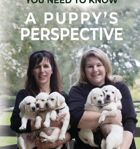 A Puppy's Perspective: 101 Puppy Training Tips You Need to Know