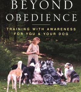 Beyond Obedience: Training with Awareness for You & Your Dog