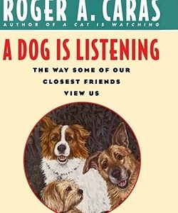 A Dog Is Listening: The Way Some of Our Closest Friends View Us