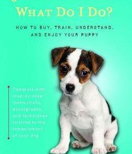 I Just Got a Puppy.: What Do I Do?