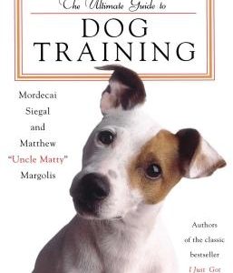 The Ultimate Guide to Dog Training