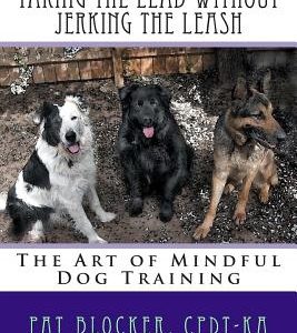Taking the Lead Without Jerking the Leash: The Art of Mindful Dog Training