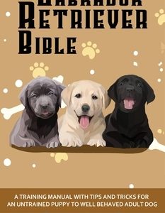 The Labrador Retriever Bible - A Training Manual With Tips and Tricks For An Untrained Puppy To Well Behaved Adult Dog