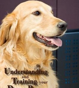 Understanding and Training Your Dog or Puppy