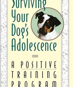 Surviving Your Dog's Adolescence: A Positive Training Program