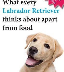 What Every Labrador Retriever Thinks about Apart from Food (Blank Inside/Novelty Book): A Professor's Guide on Training Your Labrador Dog or Puppy Usi