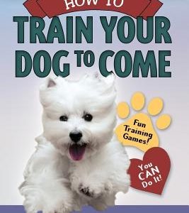 My Smart Puppy Guide: How to Train Your Dog to Come