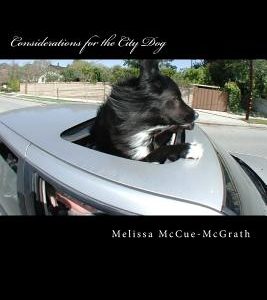 Considerations for the City Dog