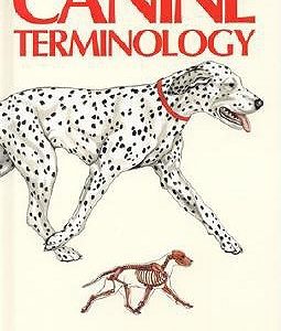 Canine Terminology